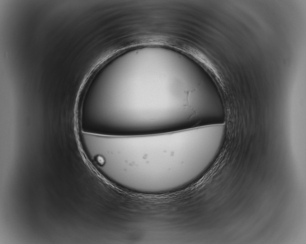 X0000098141088200804171115