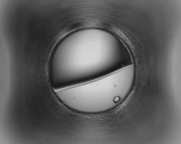 X0000098141089200804171115