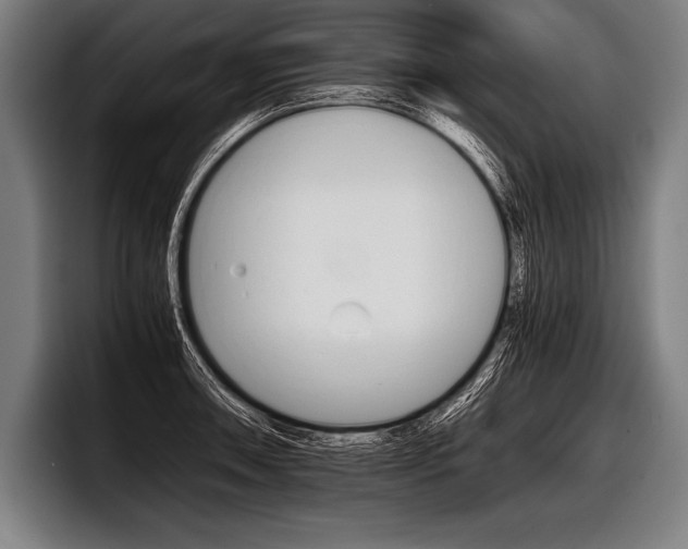 X0000098141090200804171115