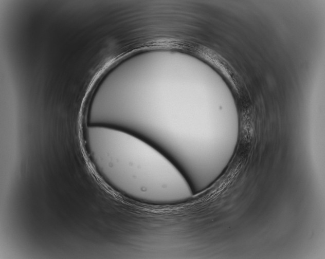 X0000098141091200804171115