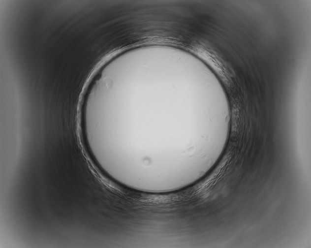 X0000098141094200804171115