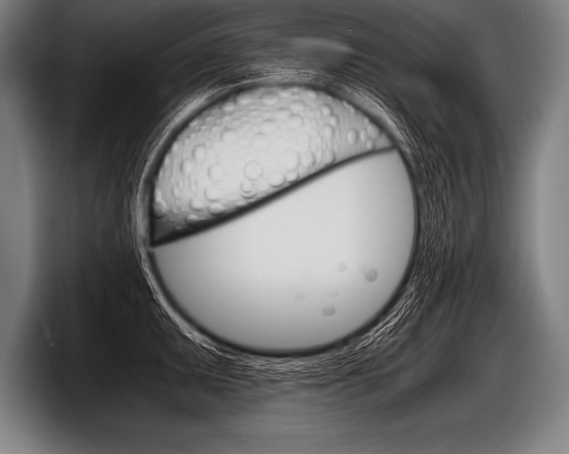 X0000098141095200804171115