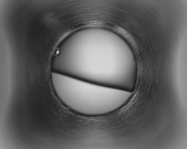X0000098141097200804171115