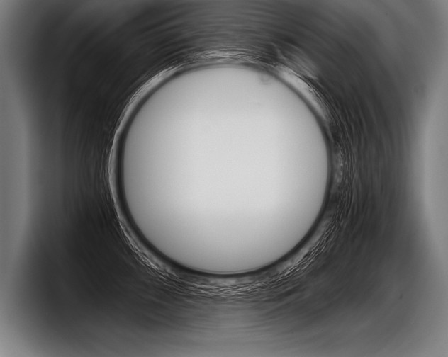 X0000098141098200804171115