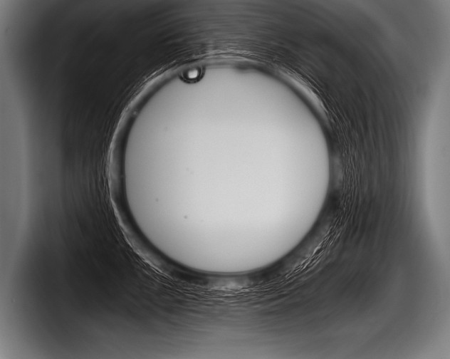 X0000098141099200804171115