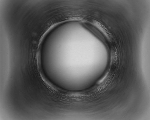 X0000098141100200804171115