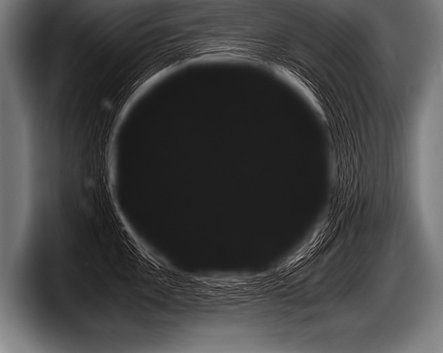 X0000098141101200804171115