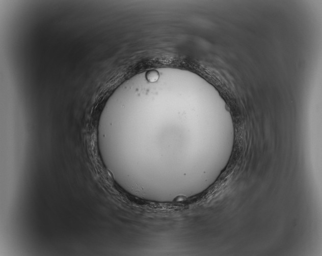 X0000098141105200804171114