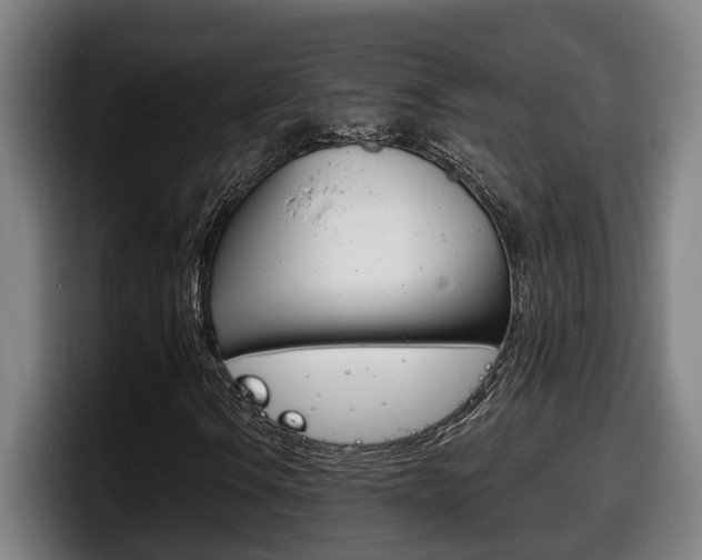 X0000098141106200804171114