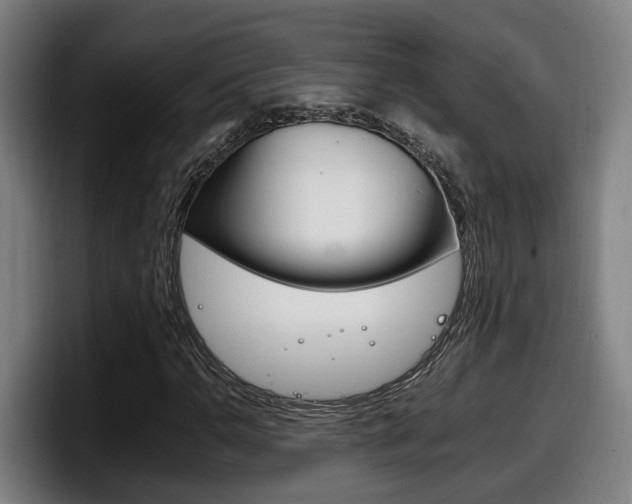 X0000098141110200804171114