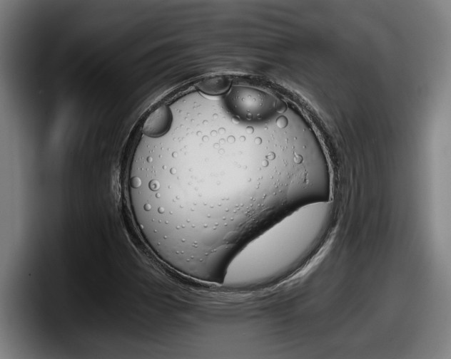 X0000098141113200804171114
