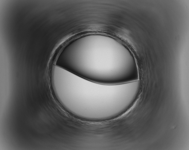 X0000098141114200804171114