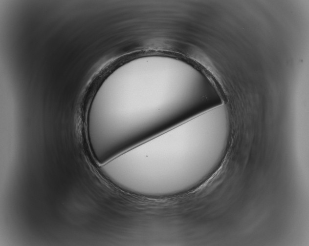 X0000098141115200804171114