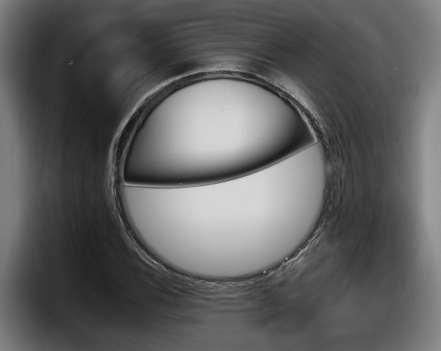 X0000098141116200804171114