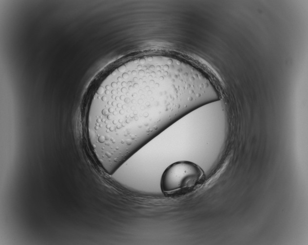 X0000098141117200804171114