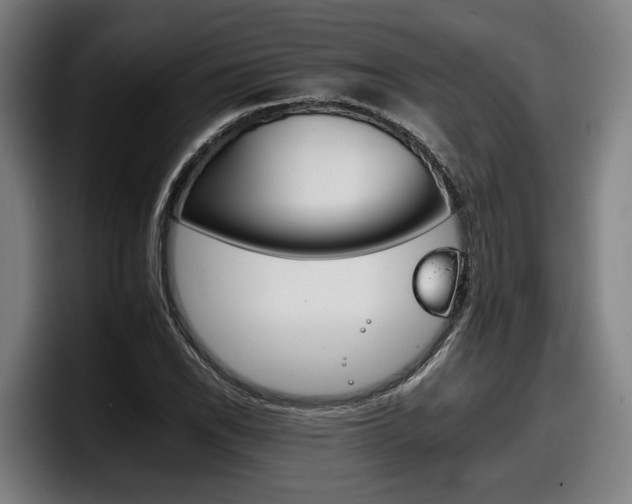 X0000098141118200804171114