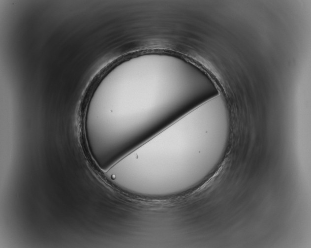 X0000098141119200804171114