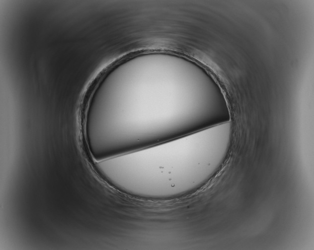X0000098141120200804171114