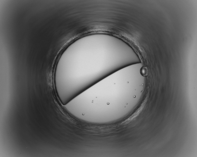 X0000098141121200804171114