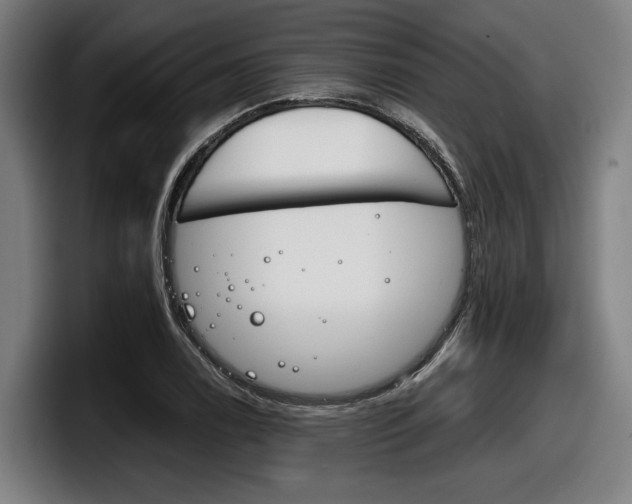 X0000098141122200804171114