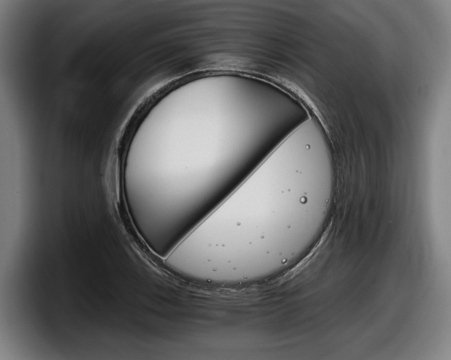 X0000098141123200804171114