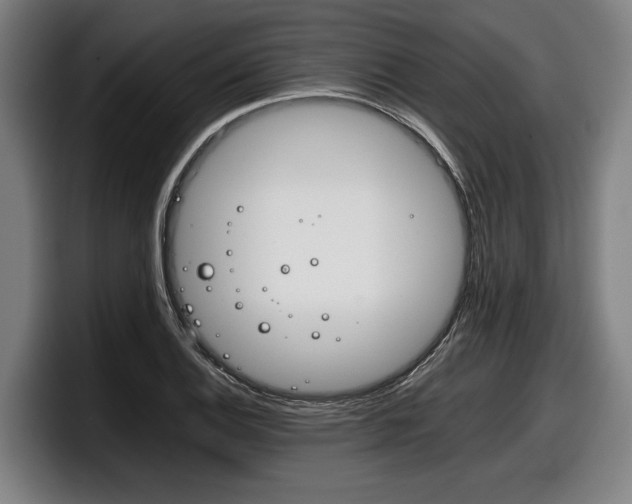 X0000098141124200804171114