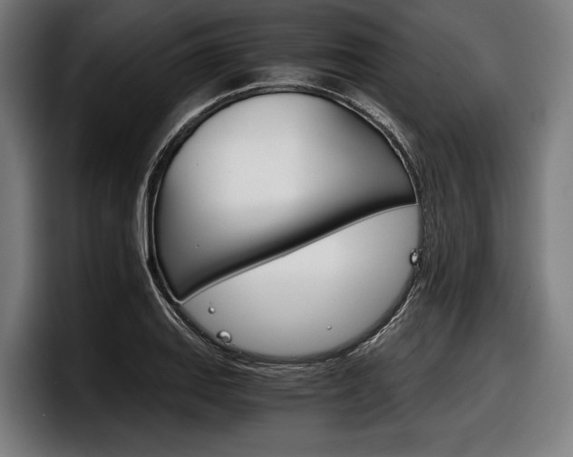 X0000098141127200804171114