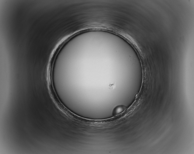 X0000098141128200804171114