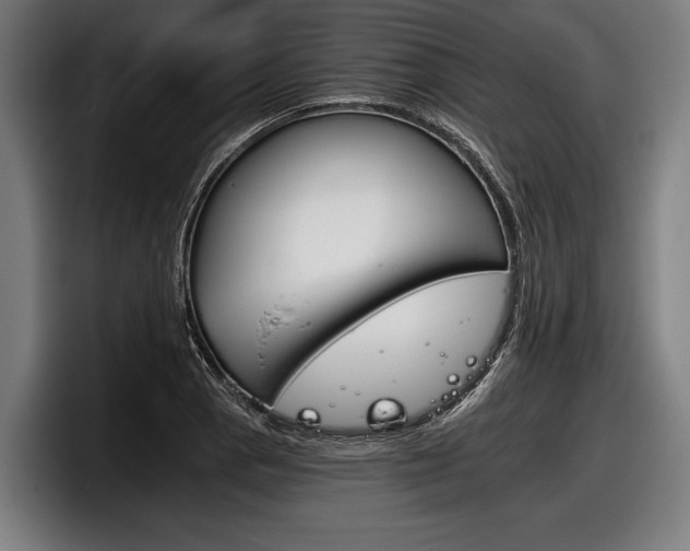X0000098141129200804171114