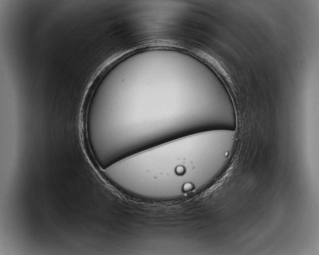 X0000098141133200804171114