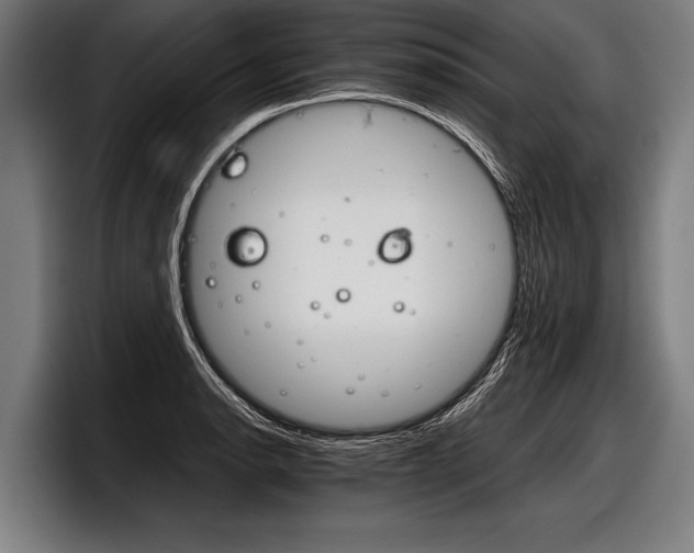 X0000098141134200804171114
