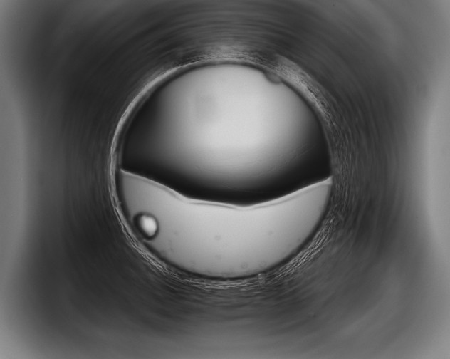 X0000098141140200804171114