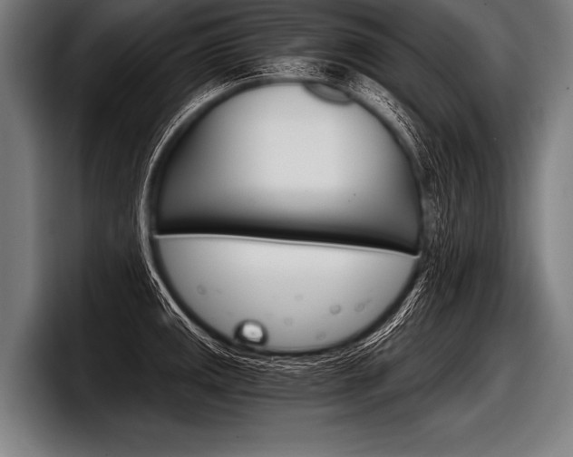 X0000098141141200804171114