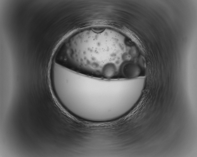 X0000098141142200804171114