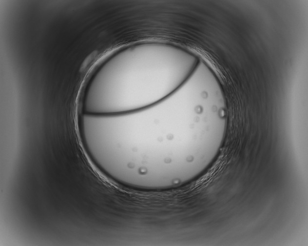 X0000098141143200804171114