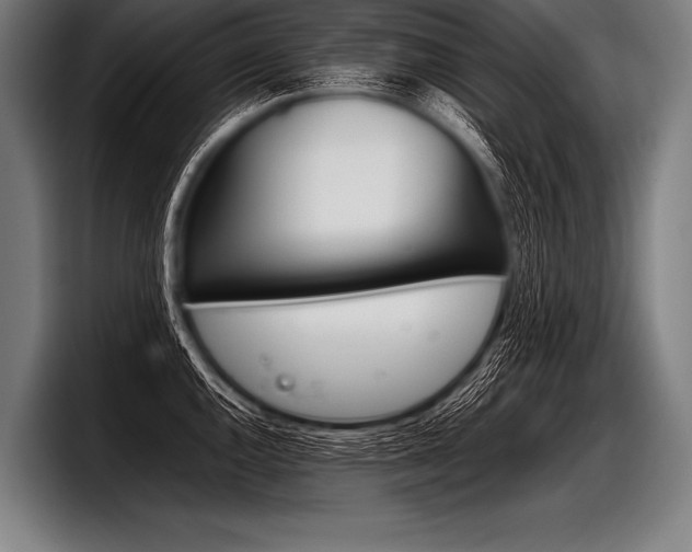 X0000098141144200804171114