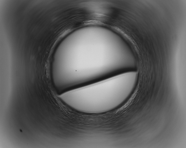 X0000098141145200804171114