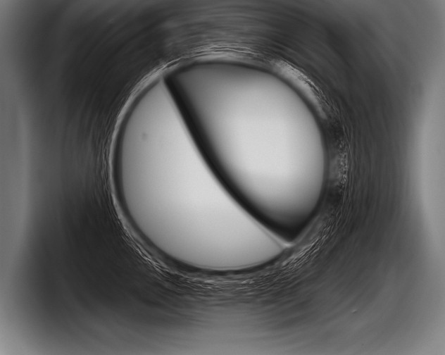 X0000098141146200804171115