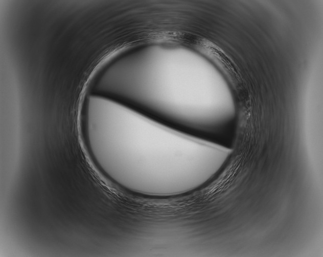 X0000098141147200804171115