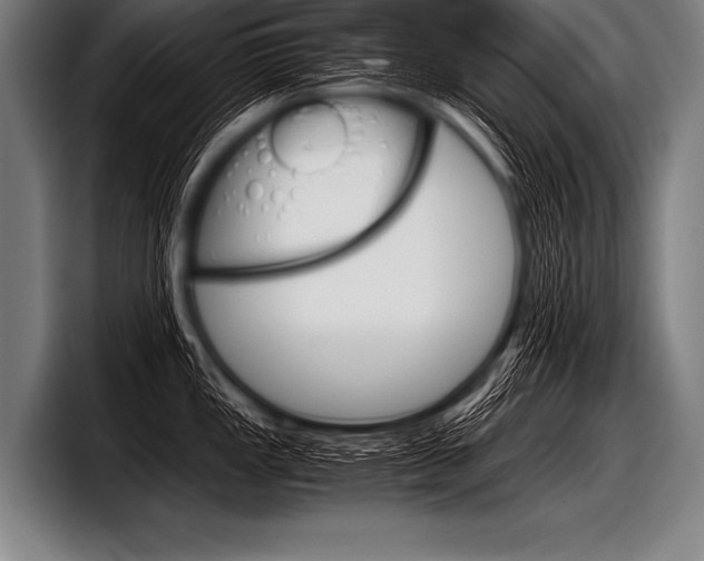 X0000098141149200804171115