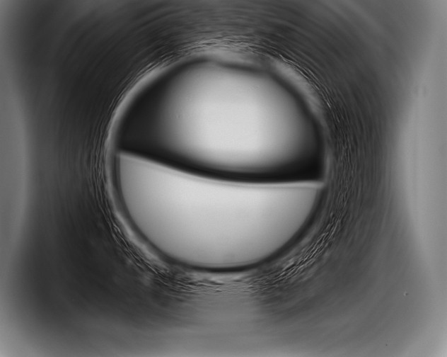 X0000098141152200804171115