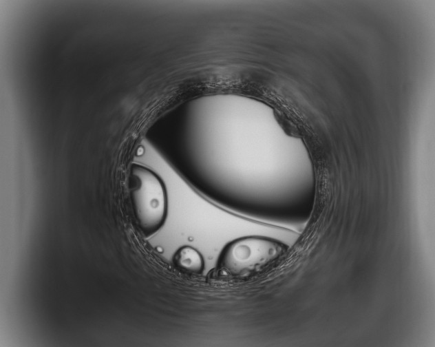 X0000098141153200804171114