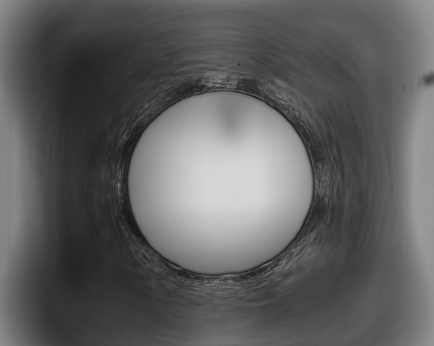 X0000098141154200804171114
