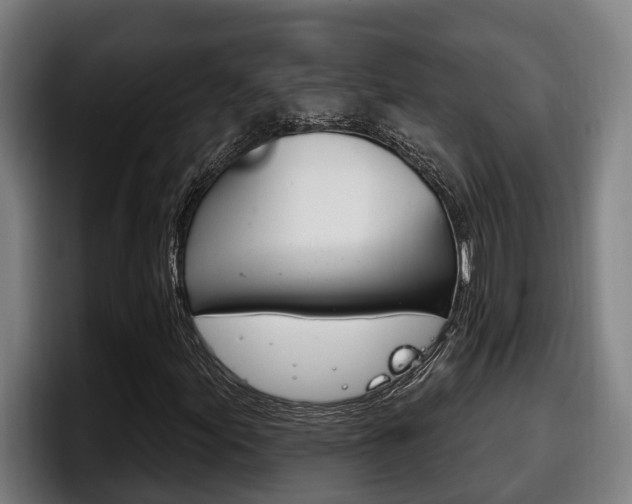 X0000098141155200804171114
