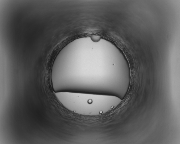 X0000098141158200804171114