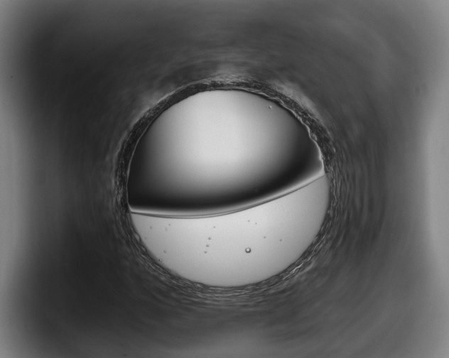X0000098141160200804171114