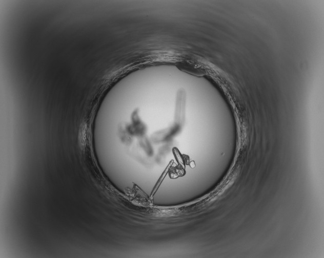 X0000098141161200804171114
