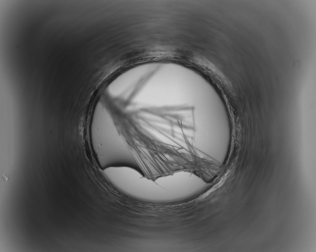 X0000098141162200804171114