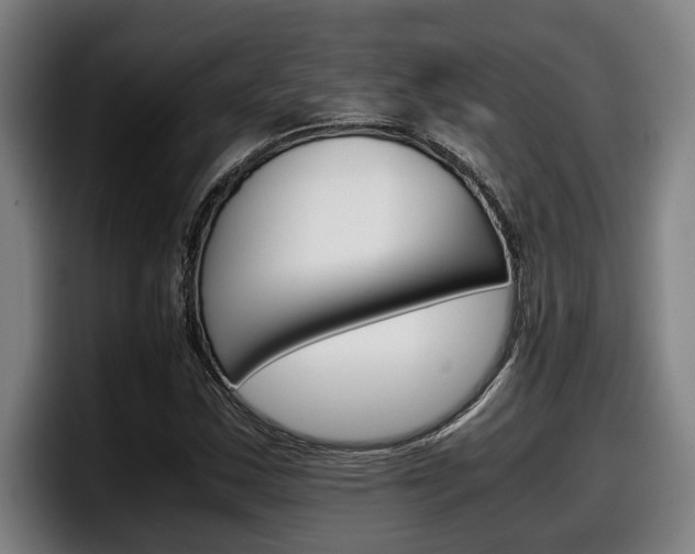 X0000098141163200804171114