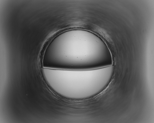 X0000098141164200804171114